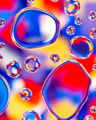 The transparent drops.